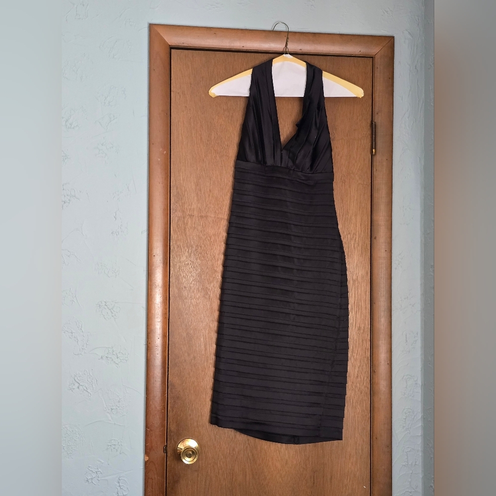 Elegant Tadashi Silk Sleeveless Dress